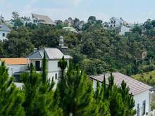 Hình ảnh Nhà phố sân vườn mới, view đồi thông, đường Đặng Thái Thân, TP Đà Lạt