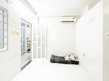 Hình ảnh Phòng trọ SẠCH,ĐẸP,TỰ DO giờ giấc