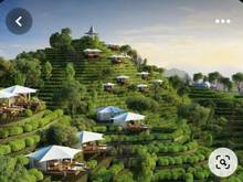 Hình ảnh bán đất view hồ đà lạt 2 hồ sinh thái
