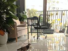 Hình ảnh Cần tiền bán ch Safira Khang Điền Thủ Đức giá chỉ 2,182 tỷ/ SHR