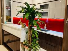 Hình ảnh Chuyển Nhượng Căn Hộ  Quỹ Căn +999 Tại Vinhomes Ocean Park