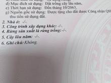 Hình ảnh Cần tiền cần bán gấp đất vườn long an