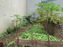 Hình ảnh Đất ngã tư Canh,giáp Nam Từ Liêm ngõ rộng 3m cách trục chính ô tô 20m