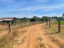 Hình ảnh 3.000m2 đất Bình Thuận, đối diện KDL safari Bình Thuận- cách QL1A 500m
