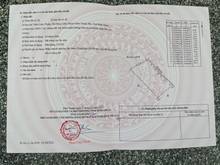 Hình ảnh Đất đẹp đã rào chắn, cắm mốc và đã trồng cây sẵn trên đất - Bình Thuận
