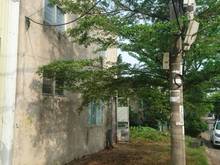 Hình ảnh Bán Đất kèm Nhà xưởng đường Bàu Mạc 2 - ngang 7,5m