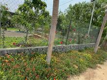 Hình ảnh 1000m2 ngang 24m SHR đường bê tông 5m xã Phú Tân