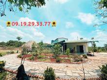 Hình ảnh Cần bán gấp vườn trái cây có sẵn 2 ao cá, nhà cấp 4, nhà yến SHR