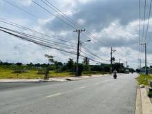 Hình ảnh 300m2 đất thổ cư thành phố SHR MT nhựa 8m giá rẻ nhất thị trường 550TR