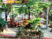 Hình ảnh Cho thuê nhà vườn mt tx 52 Q12