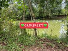 Hình ảnh Chính chủ bán vườn xoài phủ hồng có 500m thổ cư sẵn ao view hồ Trị An
