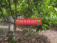 Hình ảnh Chính chủ cần bán 500 thổ cư view hồ Trị An đường oto vào tận nơi