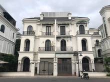 Hình ảnh bán song lập sao biển 150m2 vinhomes ocean park, giá 21 tỷ