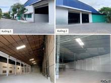 Hình ảnh Cho thuê 3000m2 kho xưởng Đoàn Nguyễn Tuân ,Hưng Long Bình Chánh