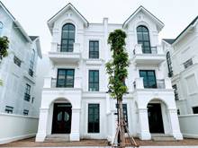 Hình ảnh bán song lập hải âu vinhomes ocean park, Diện tích 150m2, giá 18 tỷ