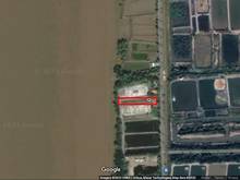 Hình ảnh Cần bán 1,000m2 đất trồng cây lâu năm xã Lý Nhơn.