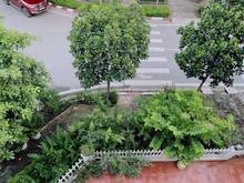 Hình ảnh Bán BT liền kề KĐT Viglacera Xuân Phương lô góc trục chính kinh doanh.