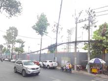 Hình ảnh Mở bán siêu dự án Trang MB66.COM Chính Thức - MB 66 Uy Tín MTđường Nguyễn Đình Chiểu, P.Đa Ka.Quận1.3ty6