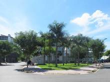 Hình ảnh Ra gấp lô MT Đại Phúc River View, Bình Thạnh, 90m2/2ty9 .SHR