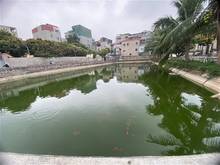 Hình ảnh Bán Nhà Mặt Bằng Kinh Doanh DT 50Mm2 MT 3.8 5T Ô Tô Đỗ Cửa Nhà  Đường