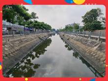 Hình ảnh Q12. 18 triệu/m2, đất ngang 21M, 300m2, gần đường Thạnh Xuân 33.