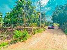 Hình ảnh Bán lô đất 2 MT đường bê tông, SHR, KDC hiện hữu