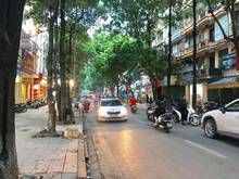 Hình ảnh Cho thuê nhà Mặt phố Trần Nguyên Đán, KINH DOANH SẦM UẤT, 70m2, 38tr/t