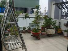 Hình ảnh siêu phẩm chốt ngay - giáp tân phú - 5 tầng 6pn st - hxh tránh thông
