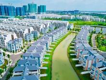Hình ảnh hot hot hot biệt thự song lập view sen súng 250m2 bán 28 tỷ