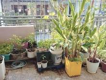 Hình ảnh Kẹt nợ bán gấp 56m nhà 1 lầu đường Phạm Thế Hiển - Hxh - Giá 1,1 tỷ
