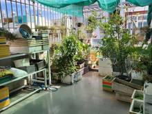 Hình ảnh Bán nhà Chu Văn An p.12 Bình Thạnh 3,7x19,5m .T2L Giá 8,2 tỷ TL.