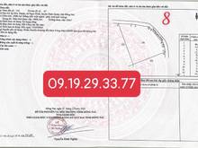 Hình ảnh Cần bán vườn quýt 1000m 2 mặt tiền đường oto vào tận nơi, Sổ sẵn