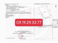 Hình ảnh Bán vườn xoài vuông vức 1102m2 ngang 28.5 cách UBND xã La Ngà 700m SHR
