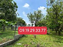 Hình ảnh Cần tiền trả nợ bán gấp vườn xoài cách QL20 700m đường bê tông oto tải