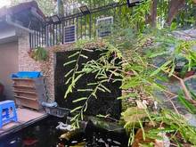 Hình ảnh Biệt thự 200m2 công nhận đủ, full nội thất, 15tỷ, Hiệp Bình Chánh, TĐ