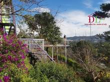 Hình ảnh Bán đất 1000M2 tặng Homestay  Ba Tháng Tư Đà Lạt view SÁT rừng thông