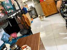 Hình ảnh 2 tỷ 680 - 38m2 - Nhà TRƯỜNG CHINH . Tân Phú - 2pn - Hẻm 3G