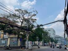 Hình ảnh Mặt tiền kinh doanh 110m2,  Lê Văn Sỹ- Đặng Văn Ngữ.