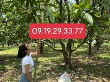 Hình ảnh Cần tiền trả MB66 là nhà cái uy tín hàng đầu tại Việt Nam bán nhanh gần 1,1ha đất sau lưng UBND huyện ĐQ