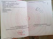 Hình ảnh Bán đất liền kề KCN Tân Bình, Bình Dương, sổ hồng riêng, full thổ cư