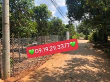 Hình ảnh Bán vườn xoài phủ hồng sẵn 200m thổ cư đã rào lưới B40 gần Hồ Trị An