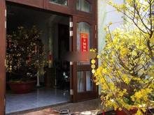 Hình ảnh Cho Thuê Biệt Thự Góc 2 Mặt Tiền 86D Phổ Quang, P2, Tân Bình