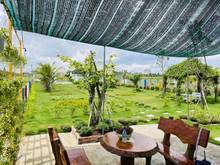 Hình ảnh Chú Tám sang lại vườn nghĩ dưỡng tâm huyết rộng DT 1050m2/520tr. SHR