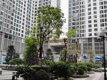 Hình ảnh Bán chung cu Ecogreen 286 Nguyễn Xiển,Thanh Xuân,Hà Nội View đẹp