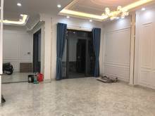 Hình ảnh Bán biệt thự mini Hoàng Hoa Thám Bình Thạnh hẻm xe hơi 6m DTSD 300m2