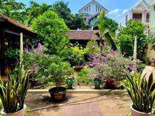 Hình ảnh Cần cho thuê nhà chính chủ ở Vũng Tàu