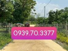Hình ảnh Cắt lỗ 500tr bán nhanh vườn xoài sau UBND xã La Ngà 1102m sẵn 100m thổ