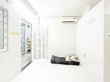 Hình ảnh Cho Thuê phòng trọ giá rẻ, thoáng mát cách đại học Văn Lang 5 phút