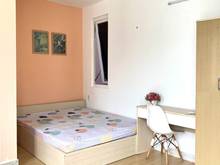 Hình ảnh Căn Hộ Sàn Gỗ Ban Công Cao Cấp Full Nội Thất Ngay Âu Cơ - Lũy Bán Bích
