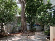 Hình ảnh Biệt Thự góc , MT Nguyễn Văn Hưởng, 30 x 20m, hồ bơi, sân vườn